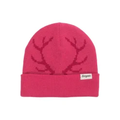 Antlers Kids Beanie